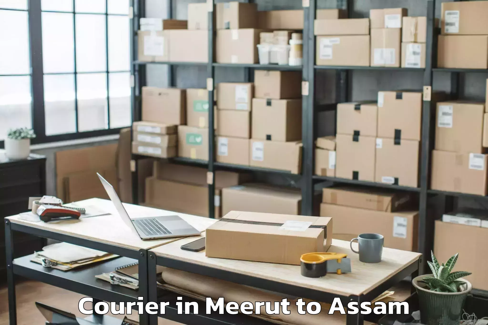 Affordable Meerut to Barpeta Courier